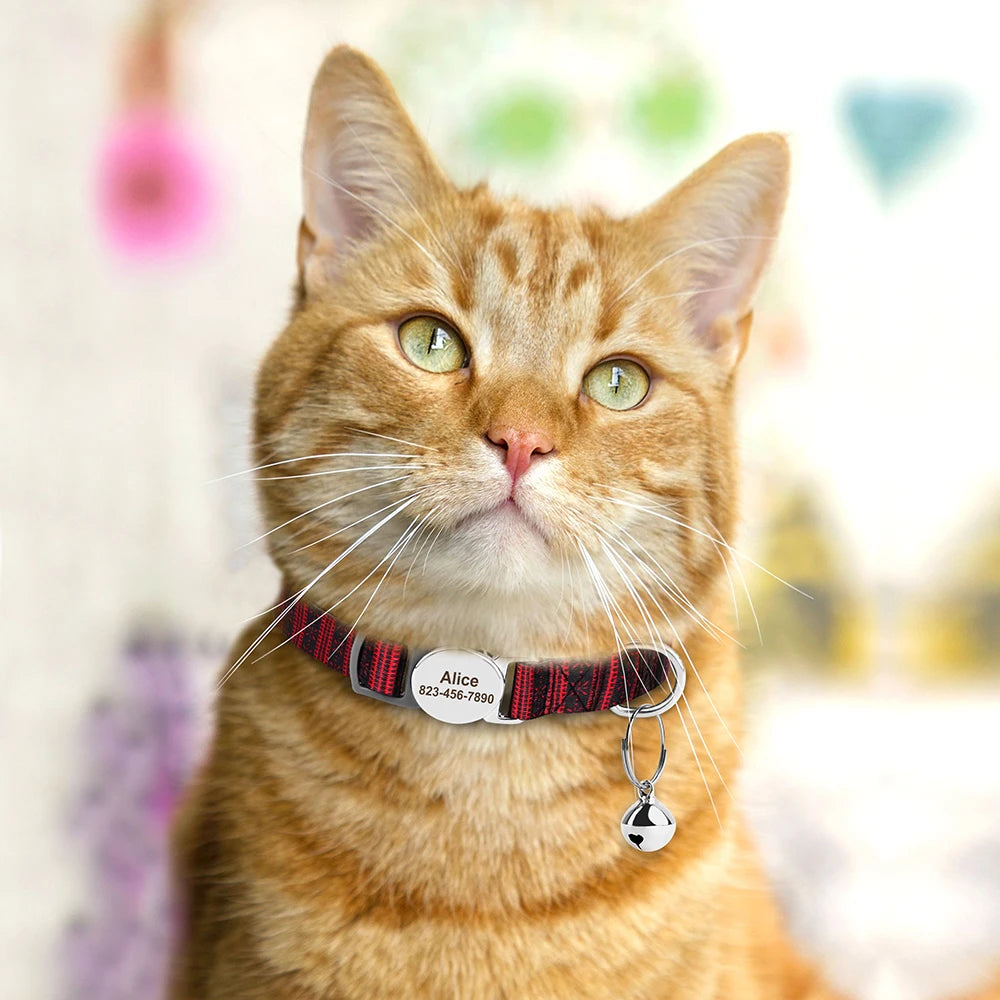 Personalised Printed Cat Collar