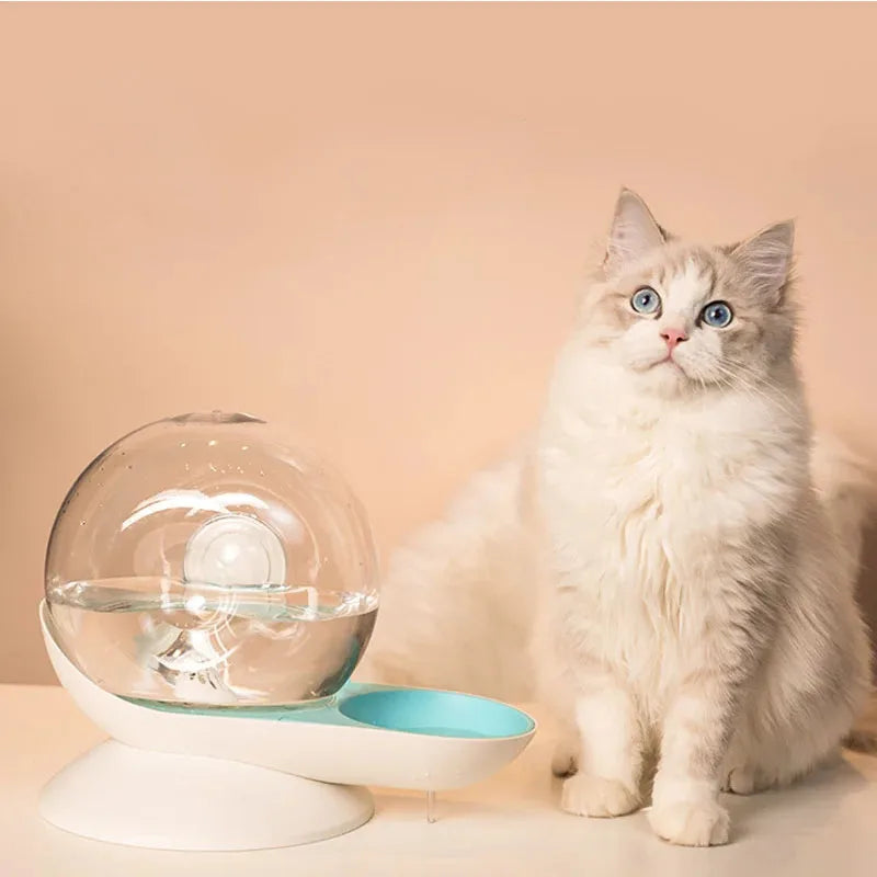 Magic Water Bowl