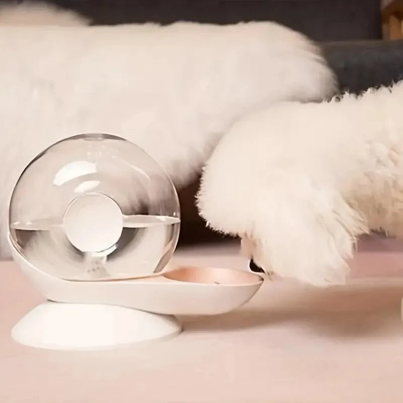 Magic Water Bowl