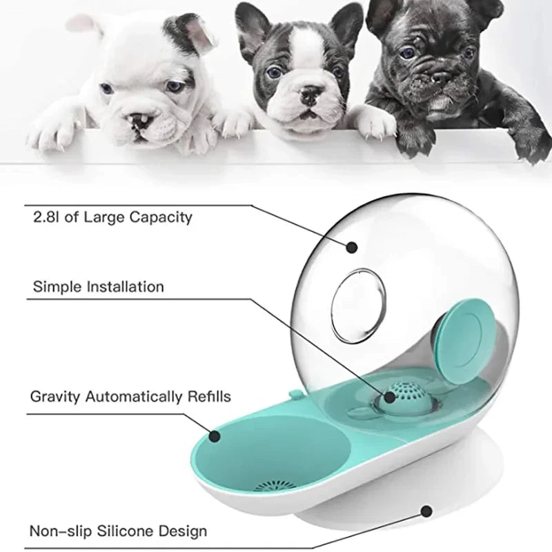 Magic Water Bowl