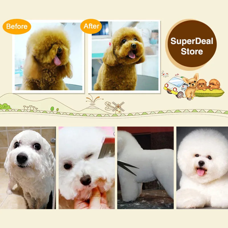 High Quality Pet Clipper set