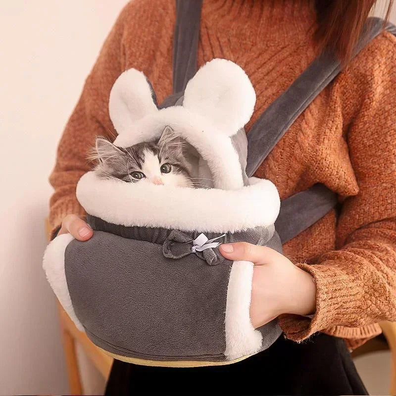 Cat Carriers and Collars