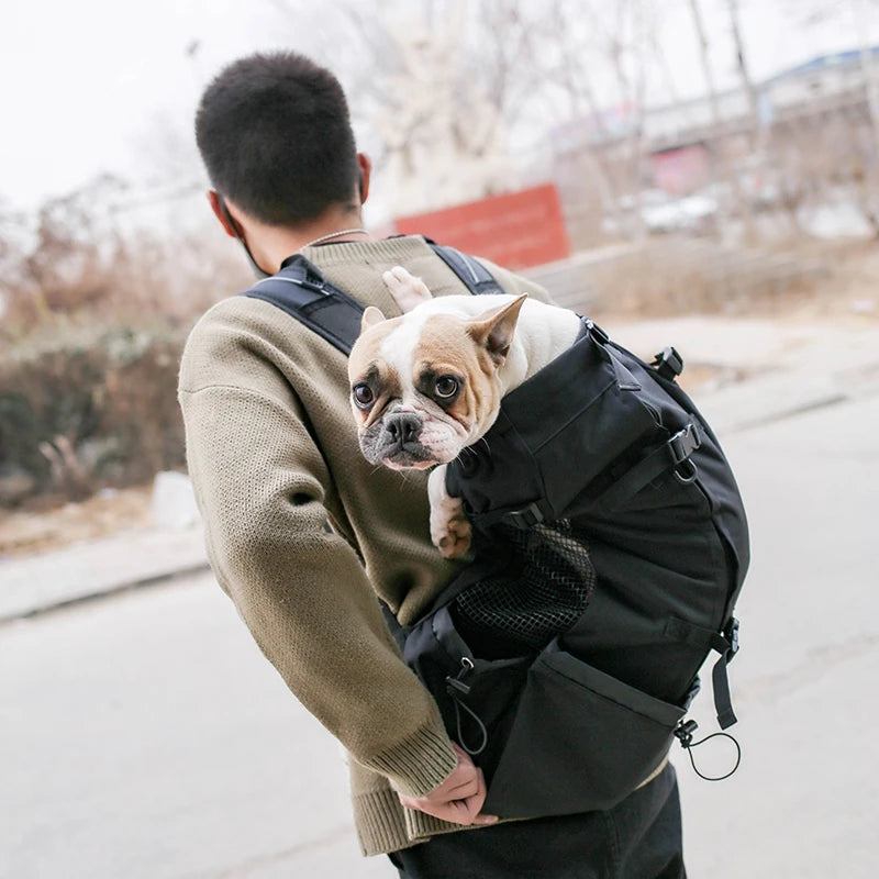 Dog Carriers