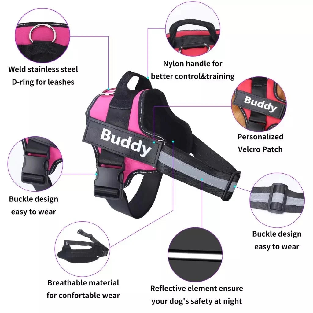 No Pull Personalised Dog Harness