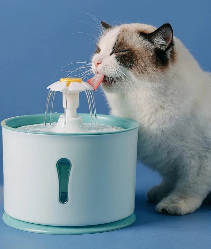 Pet Drinking Water Fountain