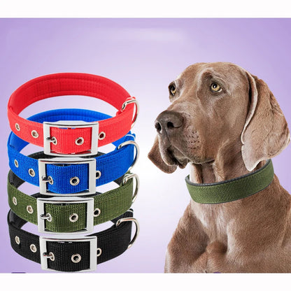 Hard Nylon Dog Collar