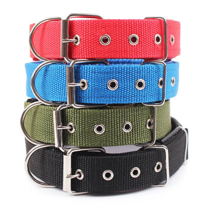 Hard Nylon Dog Collar