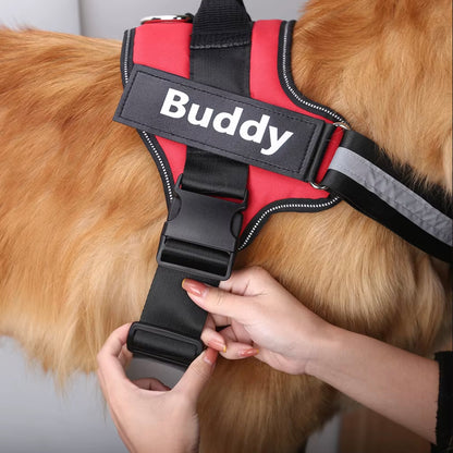 No Pull Personalised Dog Harness