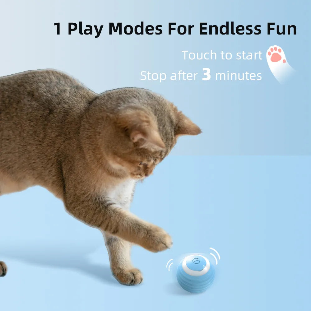 Automatic Interactive LED Cat ball