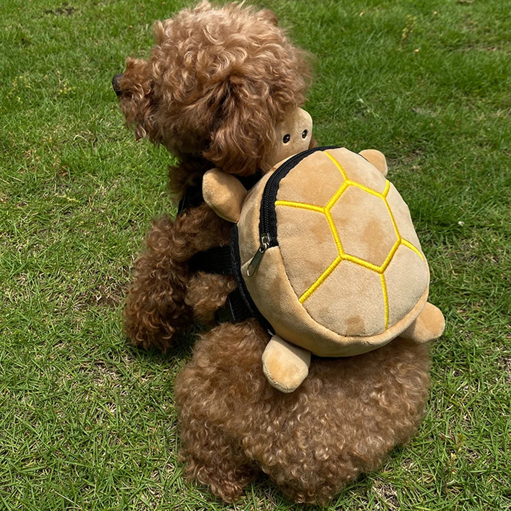 Turtle Backpack