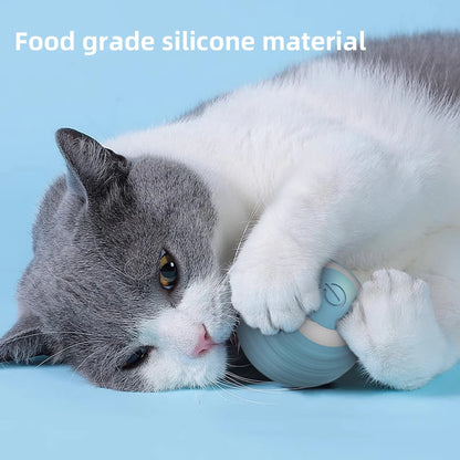 Automatic Interactive LED Cat ball