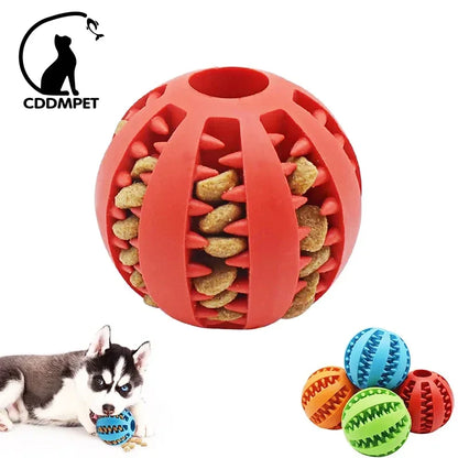 Interactive Dog Chew Ball