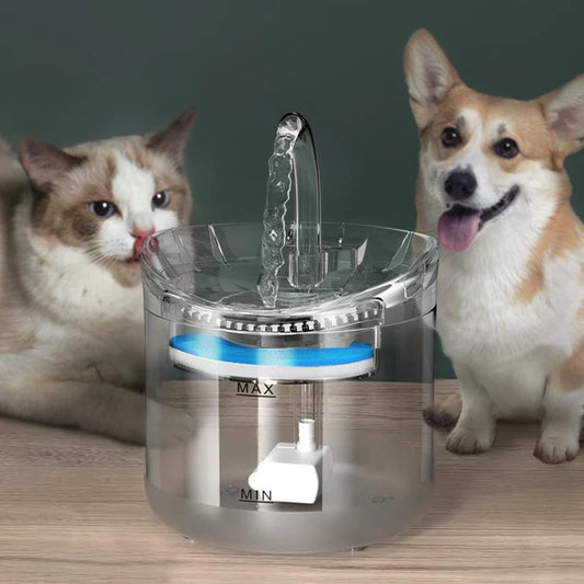 Automatic Pet Water Dispenser