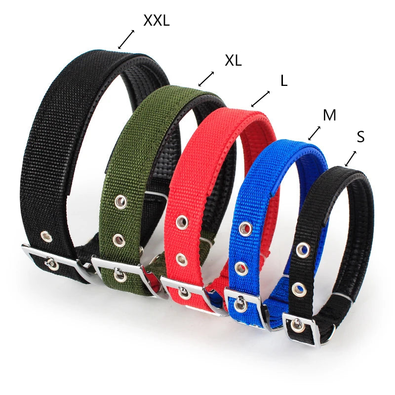 Hard Nylon Dog Collar