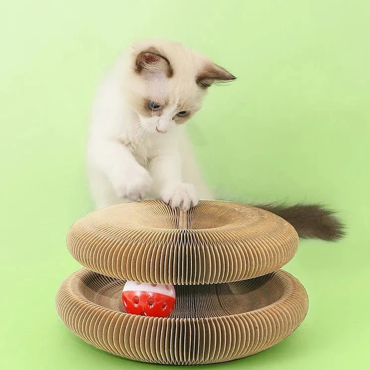 Magic Organ Cat Scratcher with Bell Ball