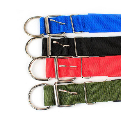 Hard Nylon Dog Collar