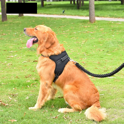 Adjustable Dog Harness With Leash