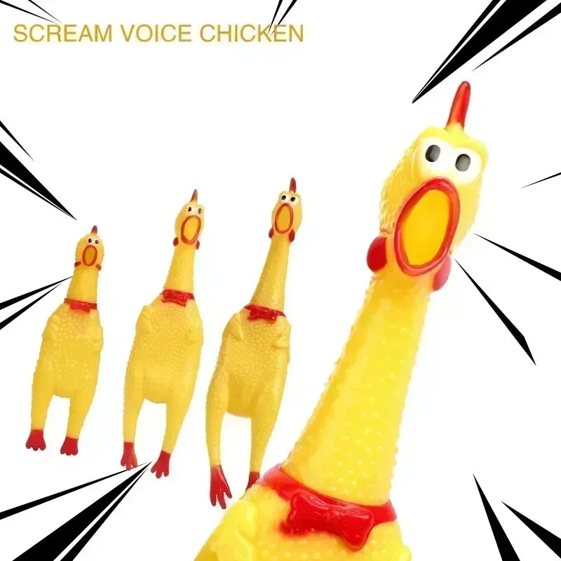 Screaming Chicken