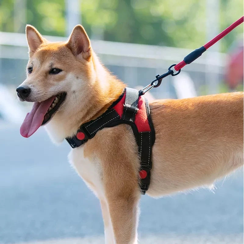 Adjustable Dog Harness With Leash