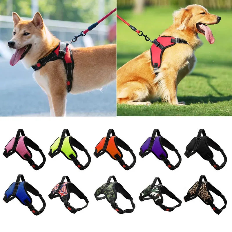 Adjustable Dog Harness With Leash