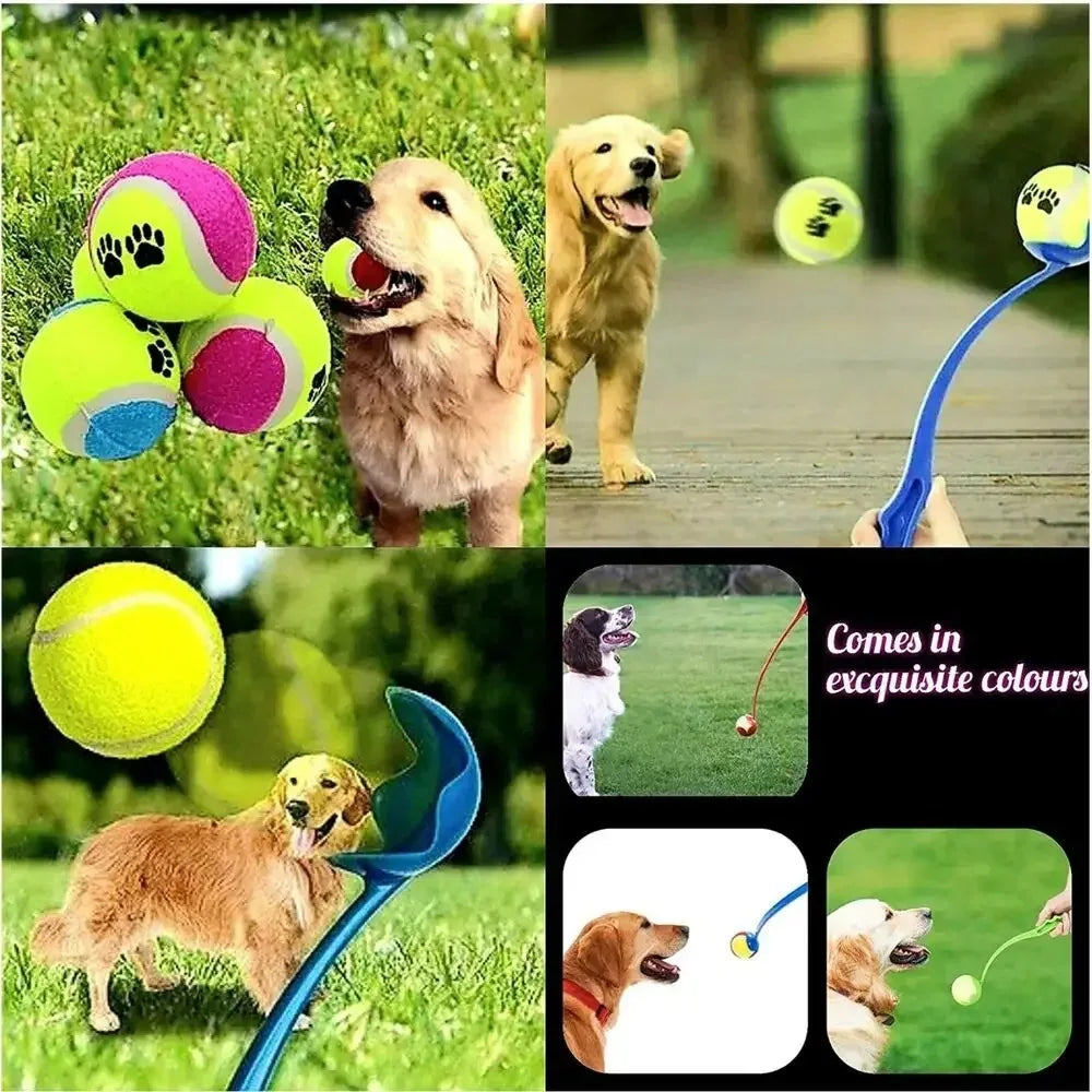 Dog Ball Throwing Stick