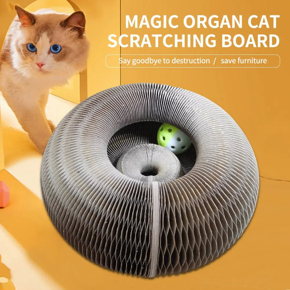 Magic Organ Cat Scratcher with Bell Ball