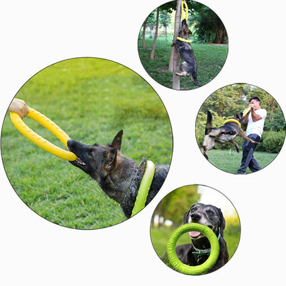 Dog Training Flying Ring