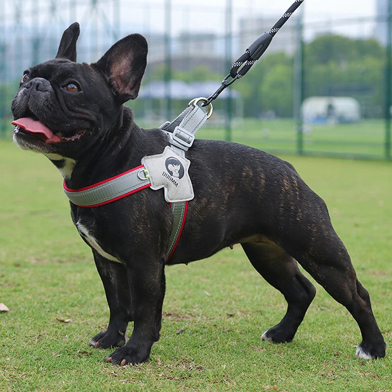 Dog Harness for Small - Medium Dogs