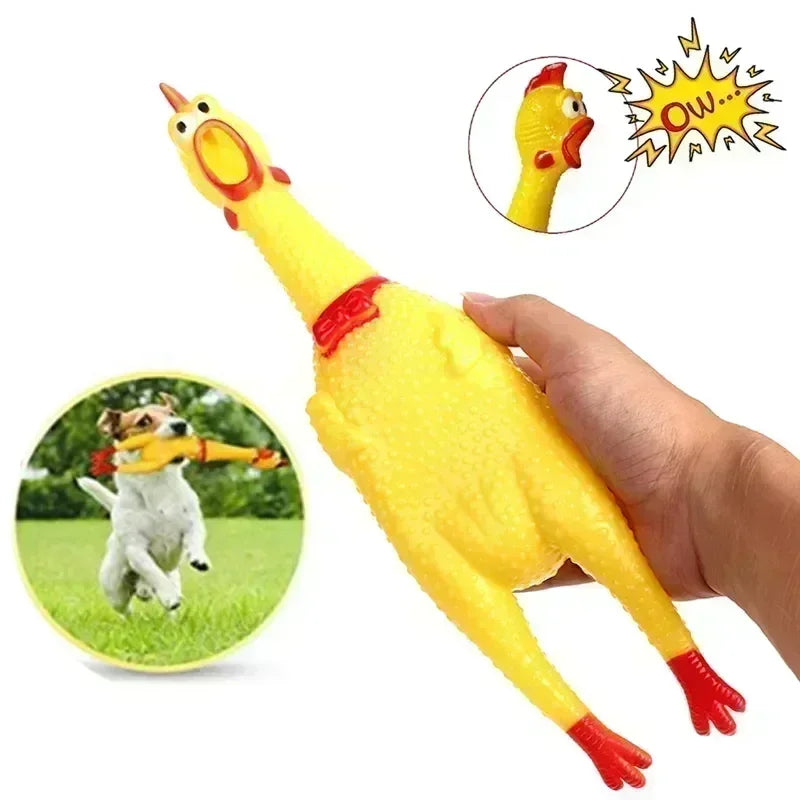 Screaming Chicken