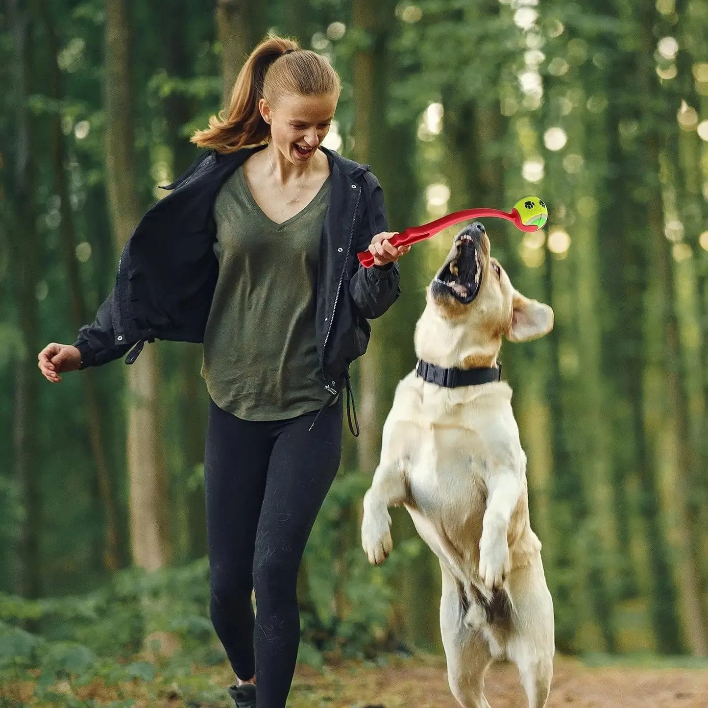 Dog Ball Throwing Stick