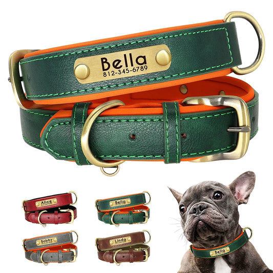 ID Nameplate Dog Collar - Leather