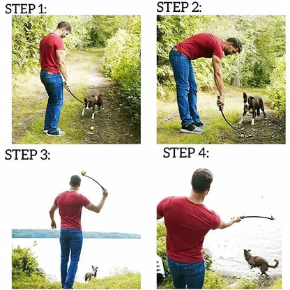 Dog Ball Throwing Stick