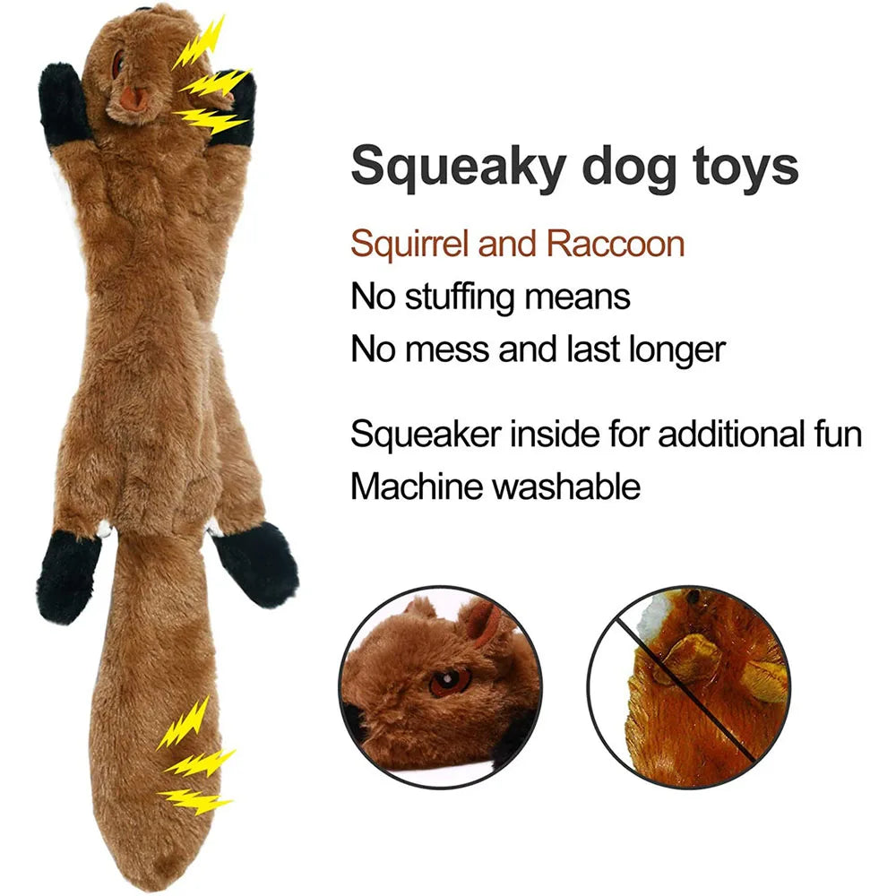 Funny Dog Toy with Squeakers