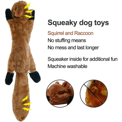 Funny Dog Toy with Squeakers