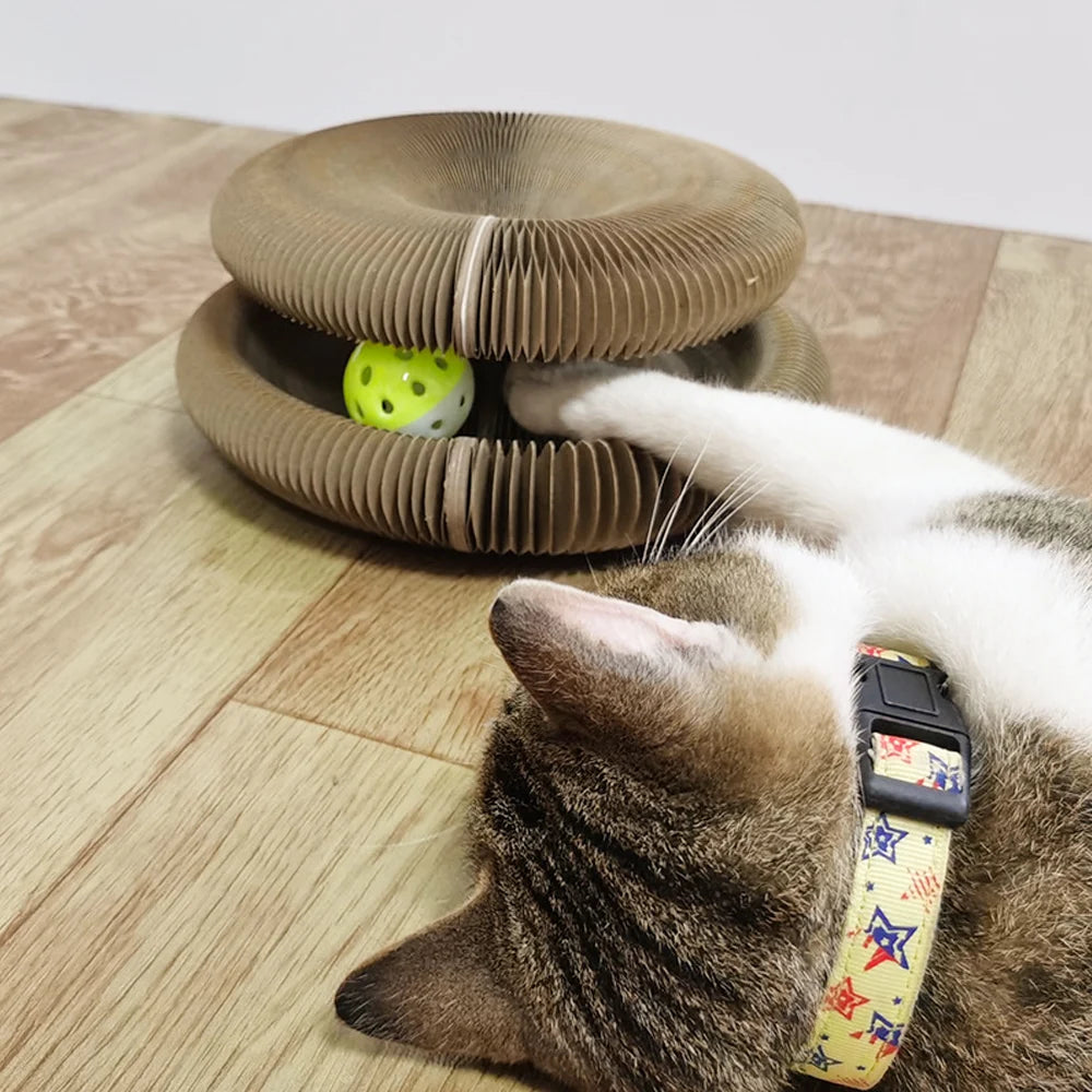 Magic Organ Cat Scratcher with Bell Ball