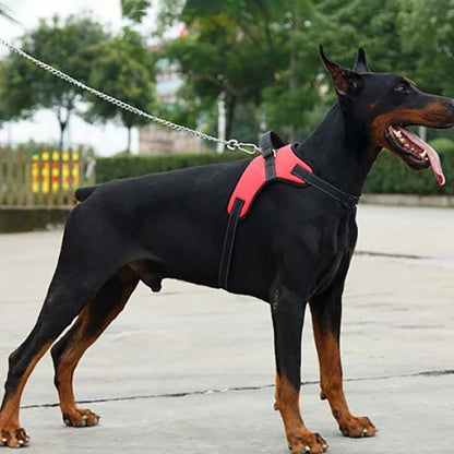 Adjustable Dog Harness With Leash