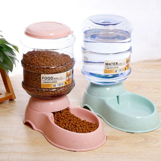 Pet feeding bowl with the container