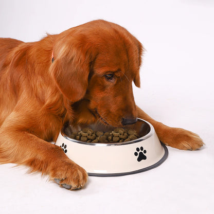 Paw Print Stainless Steel Pet Bowl - 1PC