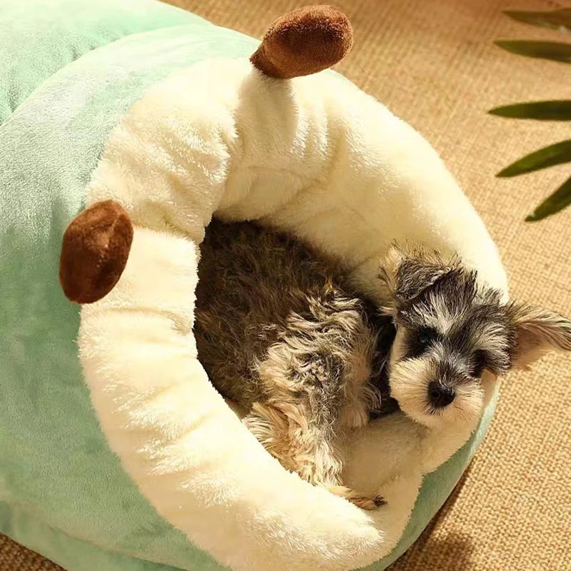 Cute Doggy Warm House