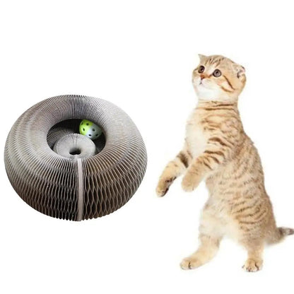 Magic Organ Cat Scratcher with Bell Ball