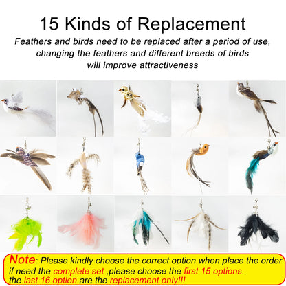Bird Feather Cat Wand with Bell For Kittens