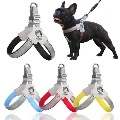 Dog Harness for Small - Medium Dogs