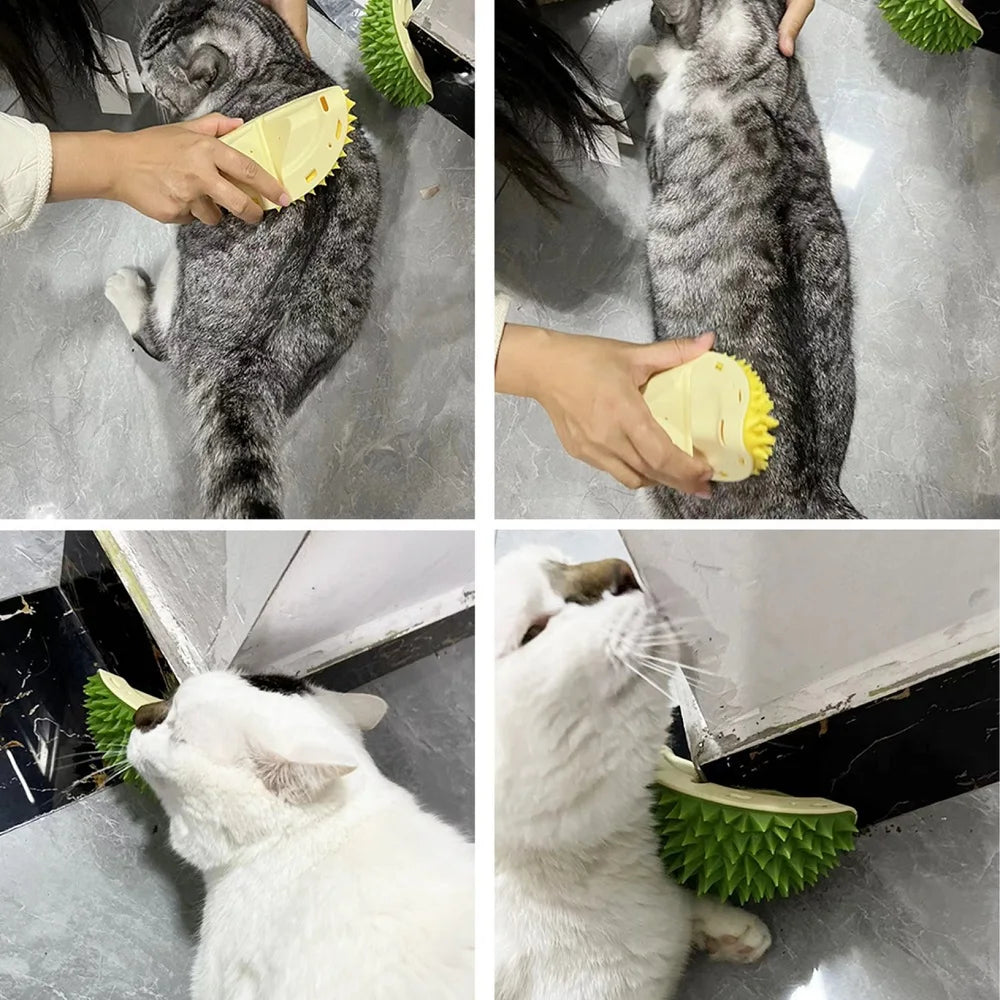 Cat Scratcher Brush