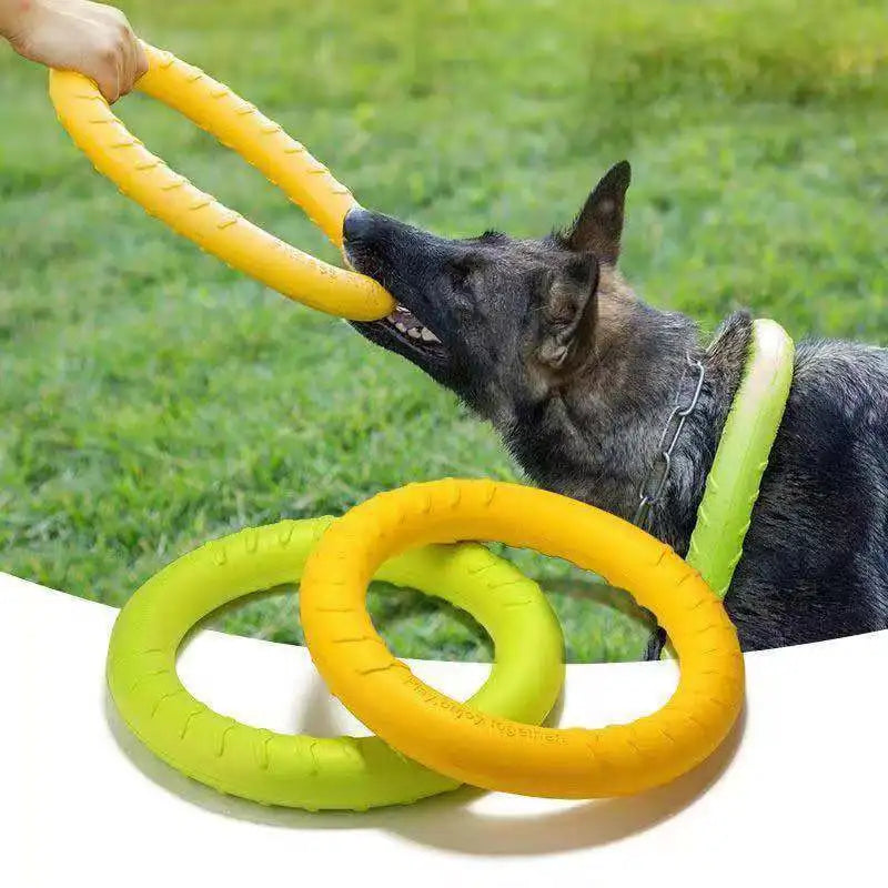 Dog Training Flying Ring