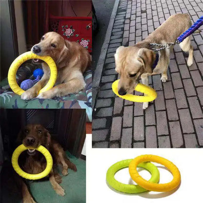 Dog Training Flying Ring