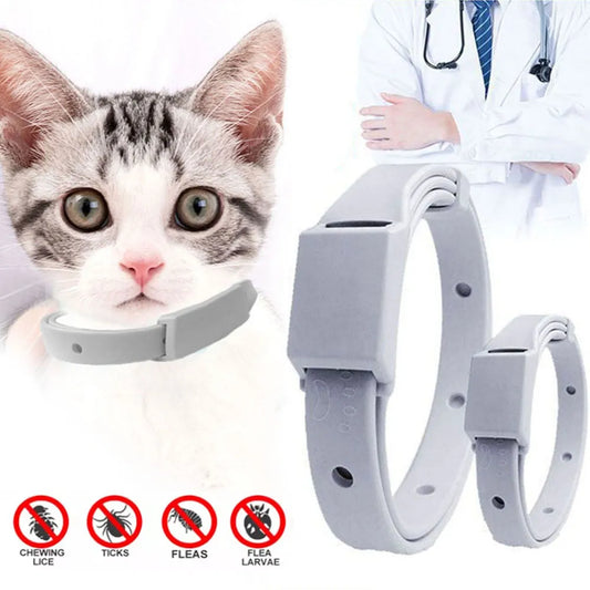 Anti Flea Tick Collar For Cats