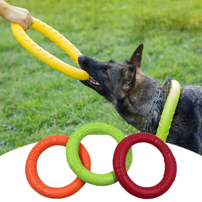 Dog Training Flying Ring