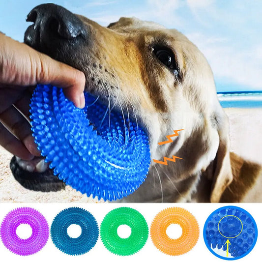 Chewy Ring for the Dogs