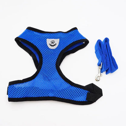 Breathable Mesh Harness With Leash