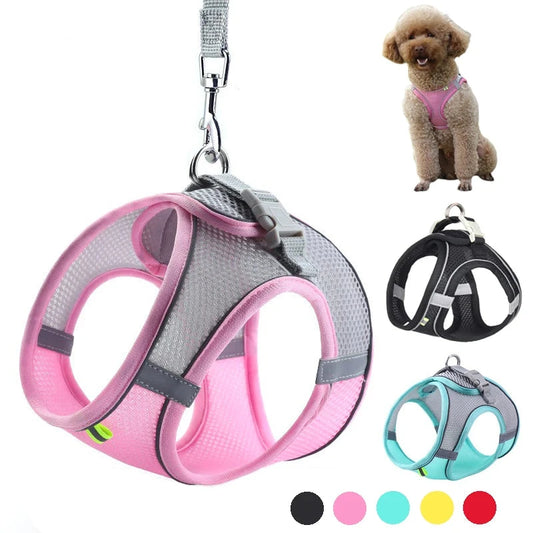 Dog Harness and Leash Set